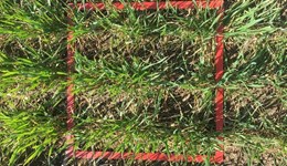 ADAS and AHDB summer open day in Herefordshire